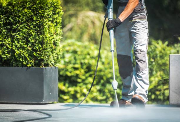 Best Window and Screen Pressure Cleaning in Pantops, VA